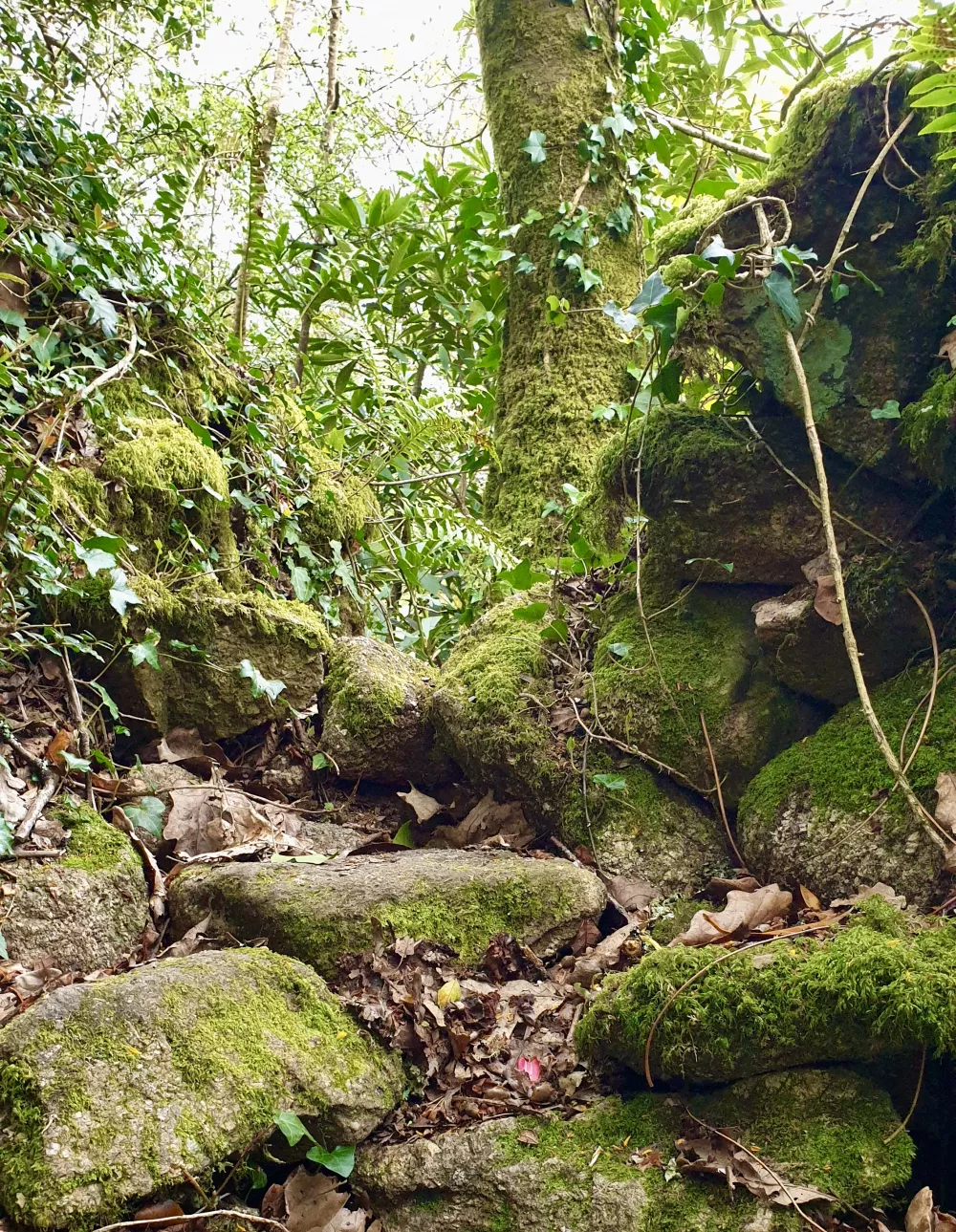 Märchenhaftes Cornwall