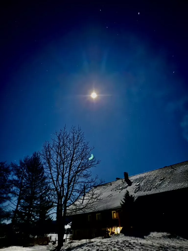 Die Wimper eines Wolfs