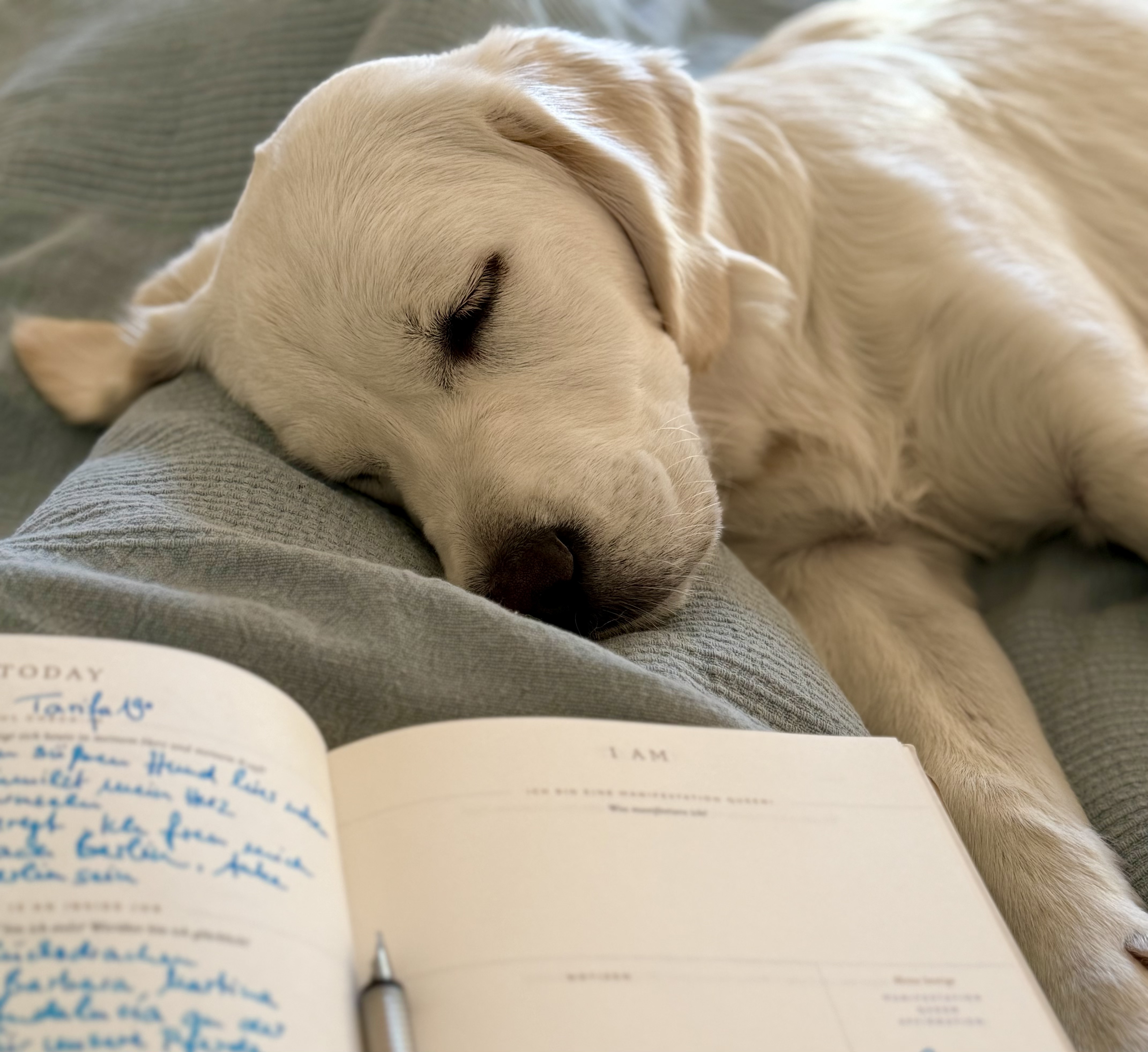 Geheimnisvolles Samhain