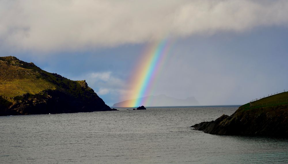 irland-shop.jpeg